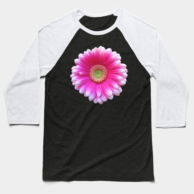 gerbera flower, daisies, gerberas, daisy, bloom Baseball T-Shirt by rh_naturestyles